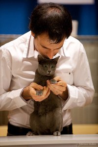 Korat Special Show 2011